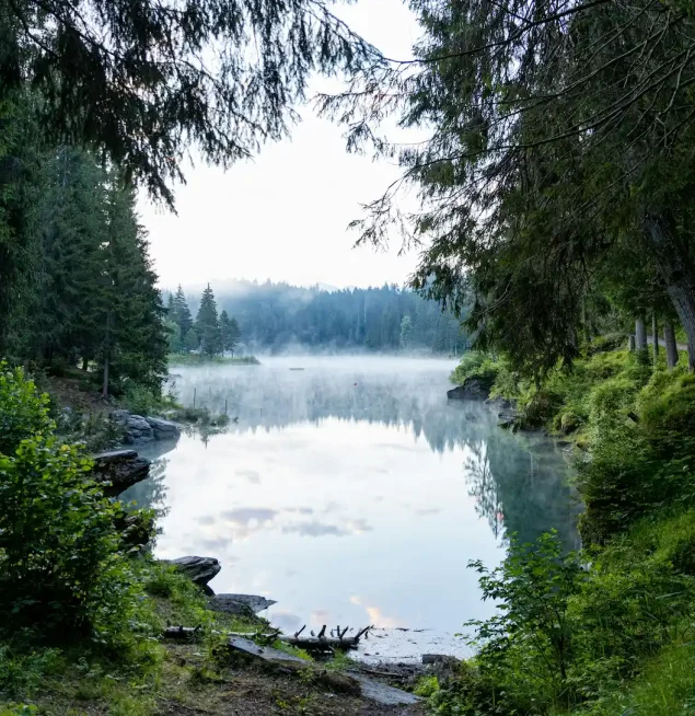 frank-van-hulst-_aoK7AHwY9w-unsplash (1)
